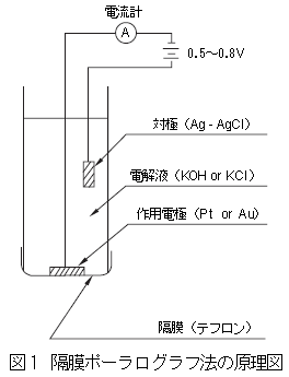 隔膜ポーラログラフ法の原理図