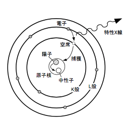 軌道電子捕獲の図