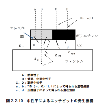 中性子によるエッチピットの発生機構図