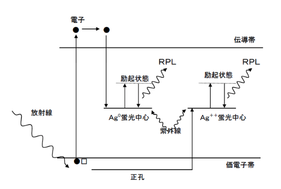 蛍光ガラスにおける蛍光中心の形成およびRPL発光モデル