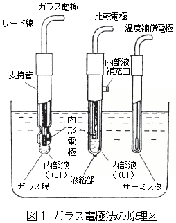 ガラス電極法の原理図