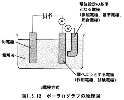 ポーラログラフの原理図