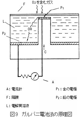 ガルバニ電池の原理図